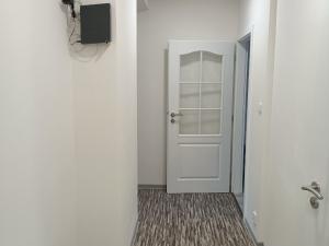 Pronájem bytu 2+kk, Plzeň - Východní Předměstí, Táborská, 55 m2