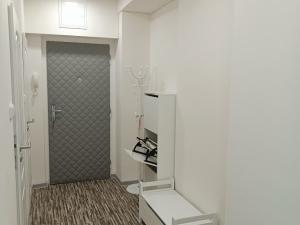 Pronájem bytu 2+kk, Plzeň - Východní Předměstí, Táborská, 55 m2