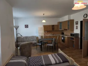 Pronájem bytu 1+kk, Bystřice, Nová, 55 m2