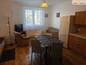 Pronájem bytu 1+kk, Bystřice, Nová, 55 m2