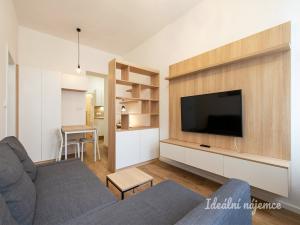 Pronájem bytu 2+kk, Praha - Žižkov, Prokopova, 40 m2