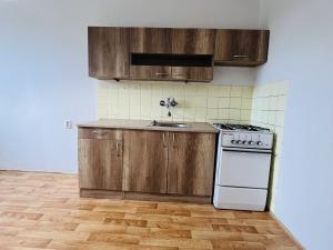 Pronájem bytu 1+1, Ostrava - Poruba, 1. československého armádního sboru, 36 m2
