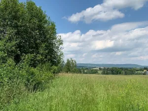 Prodej zahrady, Liběšice - Zimoř, 8000 m2