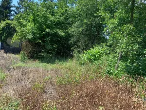 Prodej zahrady, Liběšice - Zimoř, 8000 m2