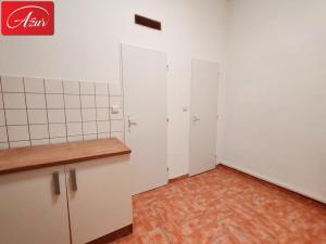 Pronájem bytu 3+1, Teplice, U Hadích lázní, 108 m2