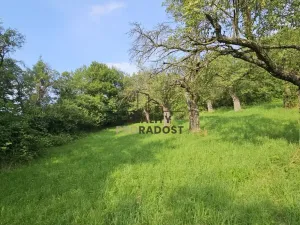 Prodej sadu/vinice, Koryčany, 4253 m2