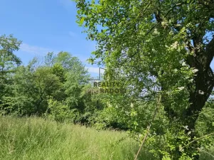 Prodej sadu/vinice, Koryčany, 4253 m2