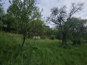 Prodej sadu/vinice, Koryčany, 4253 m2