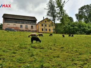 Prodej rodinného domu, Martínkovice, 300 m2