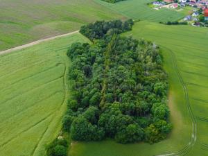 Prodej zemědělské půdy, Tuřany - Byseň, 27000 m2