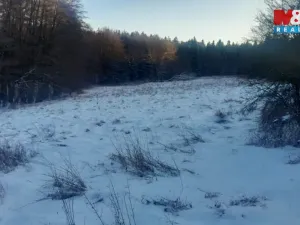 Prodej trvalého travního porostu, Oselce - Kotouň, 19732 m2