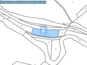 Prodej trvalého travního porostu, Lenora, 3129 m2