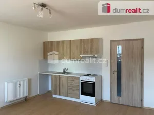 Pronájem bytu 1+kk, Opava - Předměstí, Oblouková, 25 m2