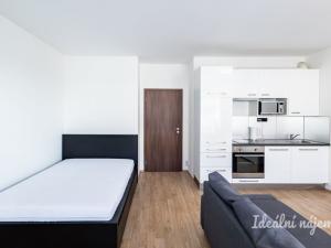 Pronájem bytu 1+kk, Praha - Dolní Měcholupy, Kardausova, 35 m2