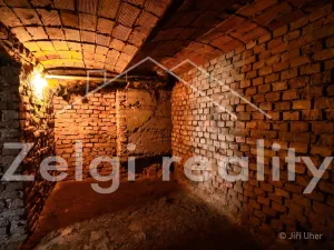 Prodej rodinného domu, Starý Poddvorov, 300 m2