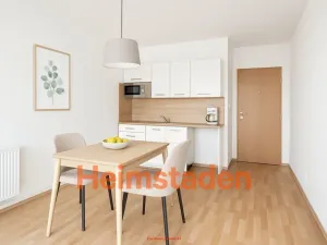 Pronájem bytu 1+kk, Frýdek-Místek - Místek, Československé armády, 23 m2