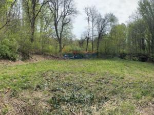 Prodej pozemku pro komerční výstavbu, Nové Hrady - Údolí, 2759 m2