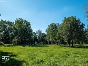 Pronájem pozemku pro komerční výstavbu, Jeníkov, 13072 m2