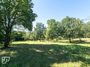 Pronájem pozemku pro komerční výstavbu, Jeníkov, 13072 m2