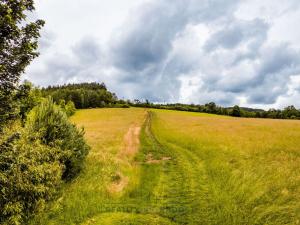 Prodej trvalého travního porostu, Horní Poříčí, 7954 m2