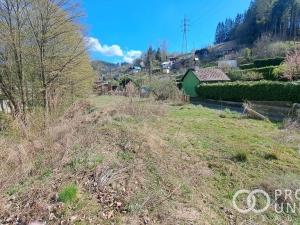 Prodej zahrady, Vsetín - Rokytnice, Amerika, 640 m2