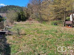 Prodej zahrady, Vsetín - Rokytnice, Amerika, 640 m2