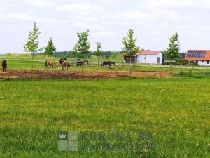 Prodej rodinného domu, Velešín, U Přehrady, 153 m2