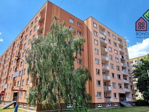 Prodej bytu 4+1, Teplice, Edisonova, 105 m2