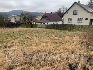 Prodej zemědělské usedlosti, Moravská Třebová, 250 m2