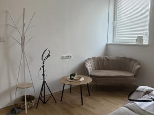 Pronájem komerční nemovitosti, Moravská Třebová - Předměstí, Komenského, 82 m2