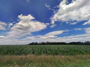 Prodej zemědělské půdy, Bystřice - Božkovice, 18096 m2