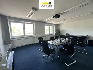 Prodej výrobních prostor, Chomutov, Beethovenova, 15052 m2