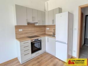 Pronájem bytu 1+kk, Znojmo, Vídeňská třída, 25 m2