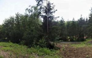 Prodej pozemku pro bydlení, Letovice - Třebětín, 988 m2