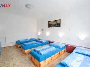 Prodej apartmánu, Bánov, 913 m2