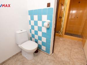 Prodej apartmánu, Bánov, 913 m2