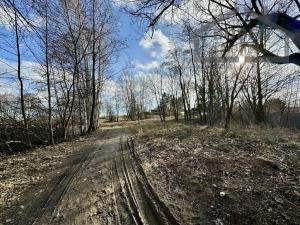 Prodej pozemku pro komerční výstavbu, Tachov, 12884 m2