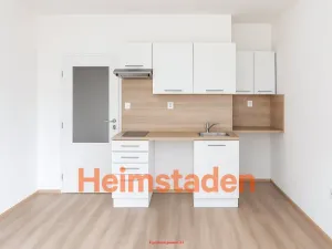 Pronájem bytu 1+kk, Paskov, Bělská, 18 m2