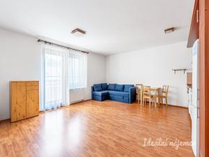Pronájem bytu 1+kk, Praha - Hostivař, Švehlova, 38 m2