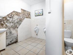 Prodej komerční nemovitosti, Choteč, Malá Strana, 215 m2