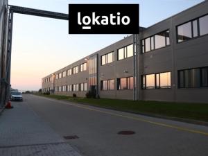 Pronájem skladu, Havraň, 5300 m2