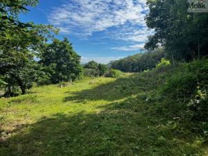 Prodej pozemku pro bydlení, Most - Souš, Na Novém světě, 1463 m2