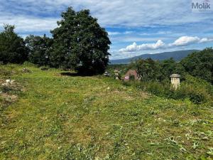 Prodej pozemku pro bydlení, Most - Souš, Na Novém světě, 1463 m2