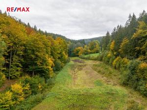 Prodej zemědělské usedlosti, Mírov, 467 m2