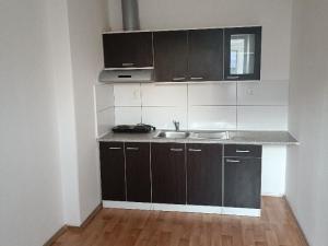 Pronájem bytu 1+kk, Ústí nad Labem - Předlice, Mahenova, 22 m2