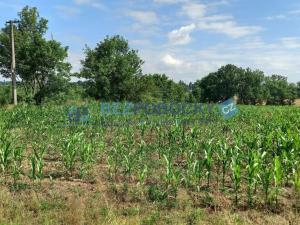 Prodej komerčního pozemku, Havlíčkův Brod - Termesivy, 20005 m2