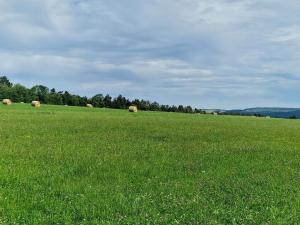 Prodej zemědělské půdy, Hostomice, 8385 m2