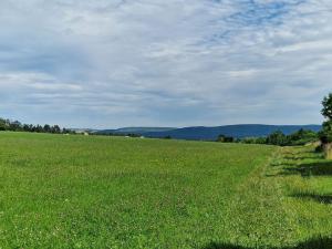 Prodej zemědělské půdy, Hostomice, 8385 m2