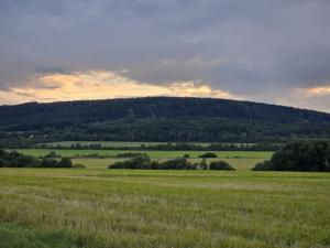 Prodej zemědělské půdy, Hostomice, 8385 m2