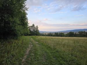 Prodej zemědělské půdy, Hostomice, 8385 m2